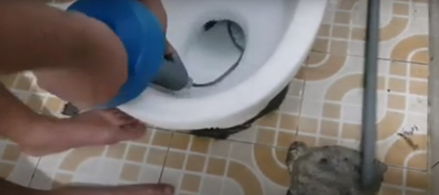 Thông tắc nhà vệ sinh tại Đan Phượng